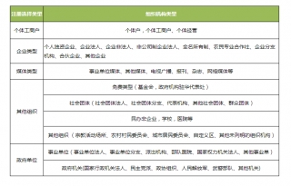 如何选择信息登记主体类型？